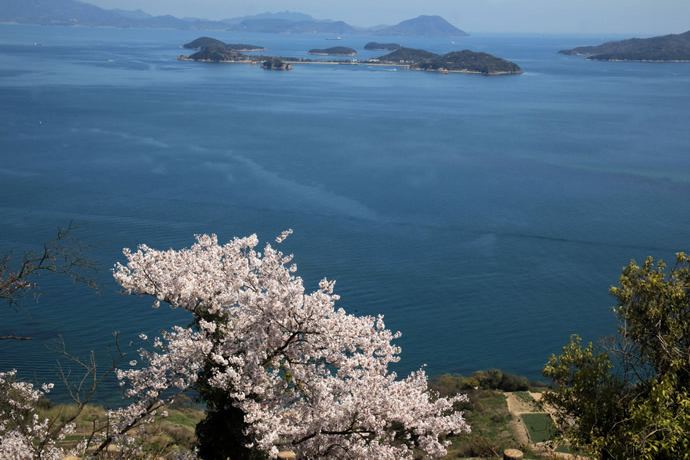 鷲ヶ峰展望台から見る