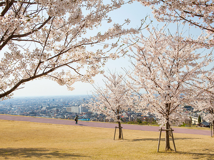 春の大乗寺丘陵公園