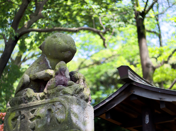 うさぎが神の使い