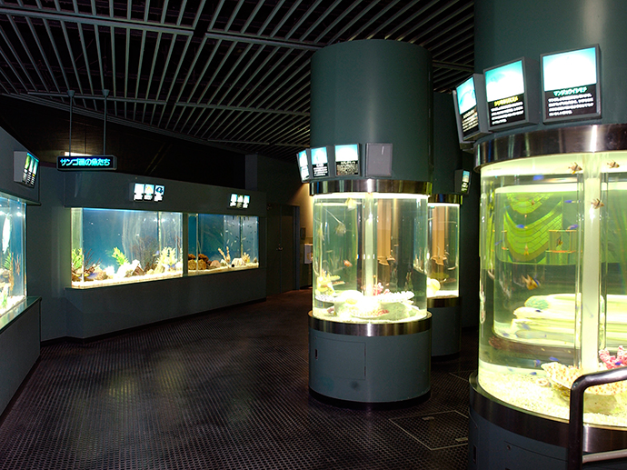 水族館内部