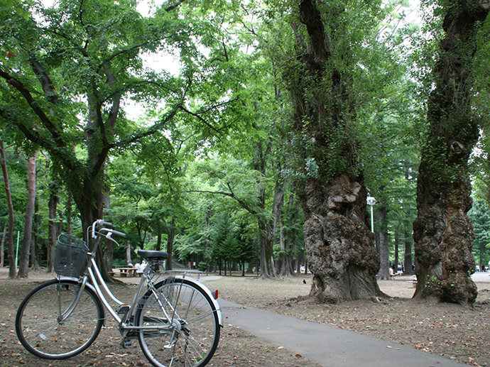 大通公園のイルミネーション